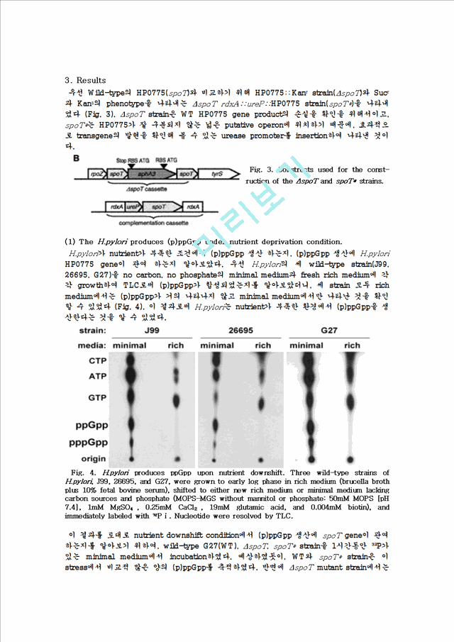 The Stringent Response of Helicobacter pylori   (6 )